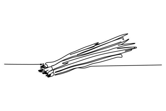 Green Onion One Continuous Line: A Symbol of Simplicity and Elegance