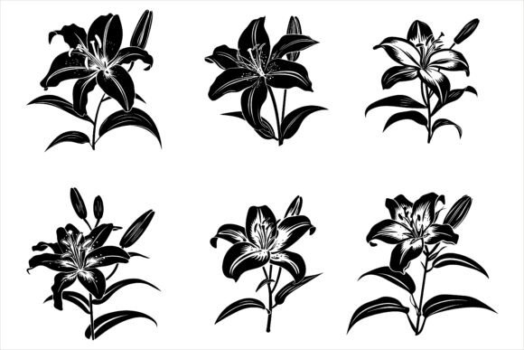Lily Flower Silhouette Vector: A Timeless Design for Creative and Professional Use