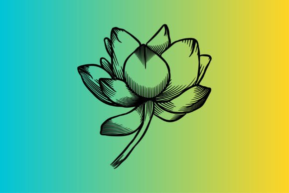 Lotus Illustration Line Gradient
