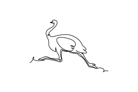 Ostrich Continuous Line Art for Minimalist Design Workflows
