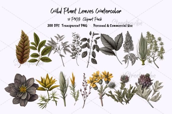 Wild Botanical Watercolor Clipart PNG: A Versatile Digital Resource for Creative Projects